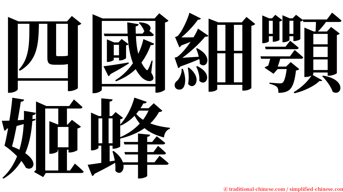 四國細顎姬蜂 serif font