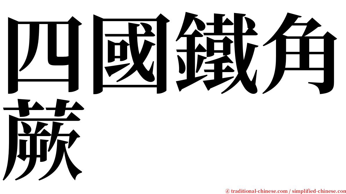 四國鐵角蕨 serif font