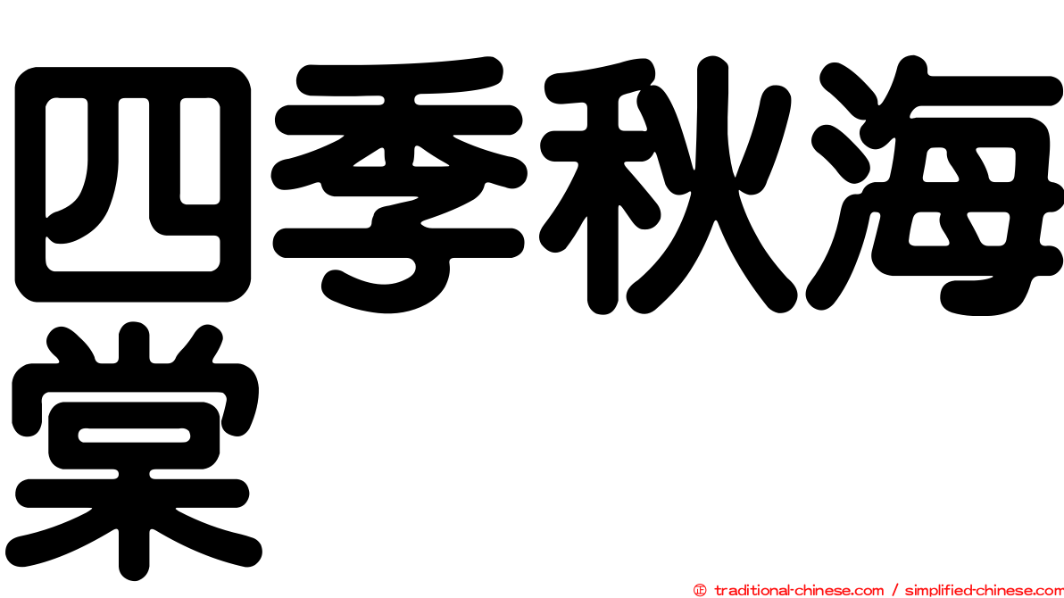 四季秋海棠