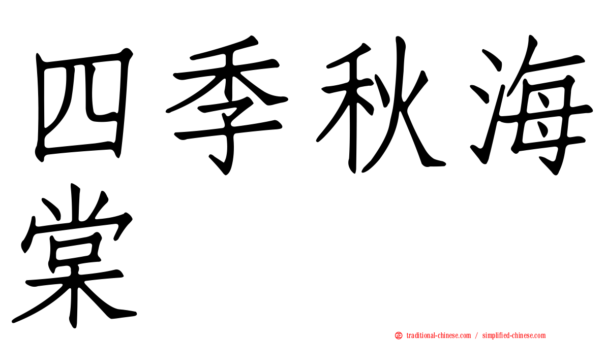 四季秋海棠