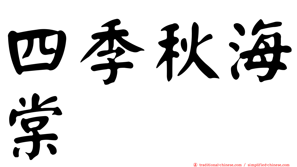 四季秋海棠