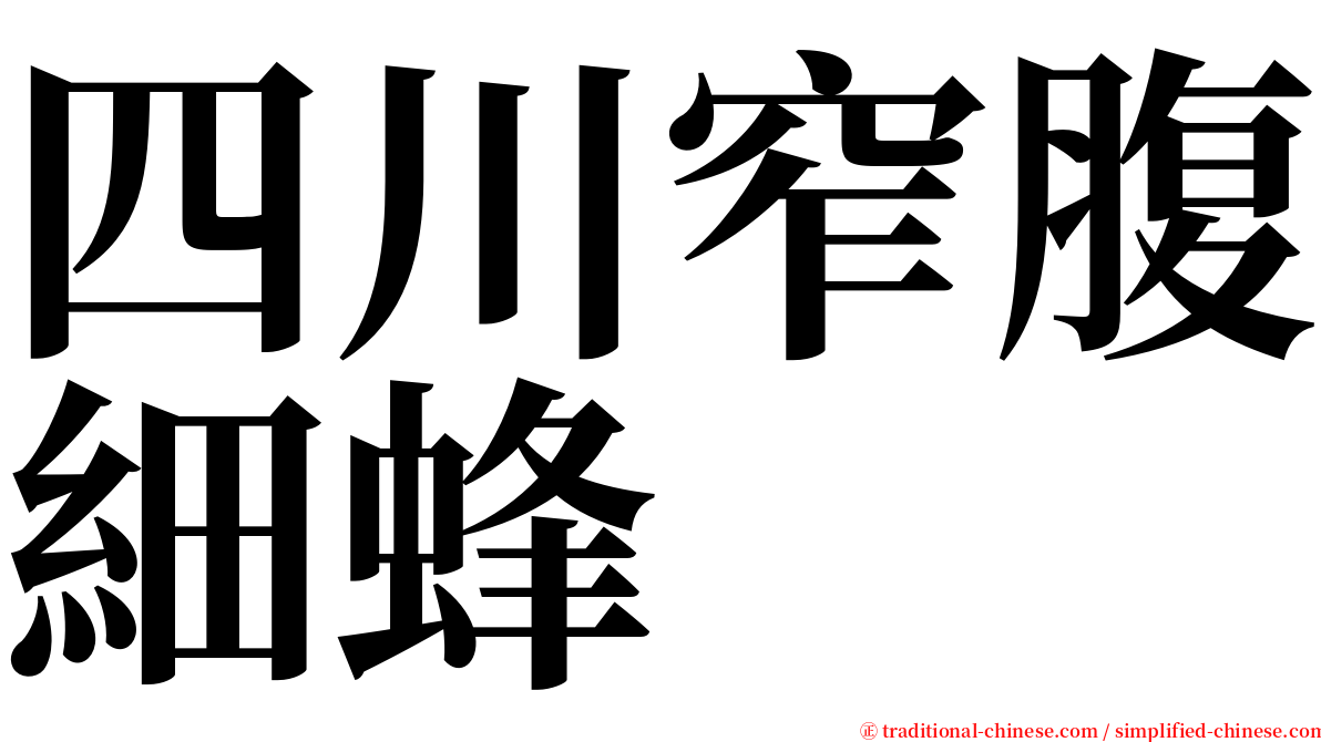 四川窄腹細蜂 serif font