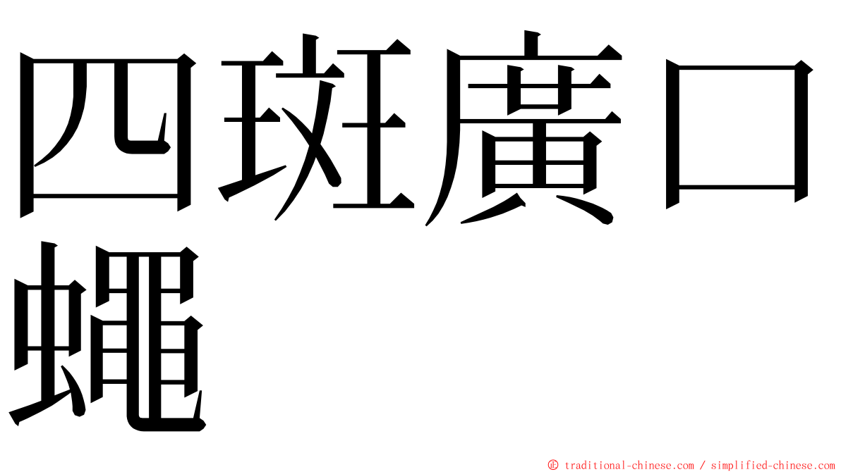 四斑廣口蠅 ming font