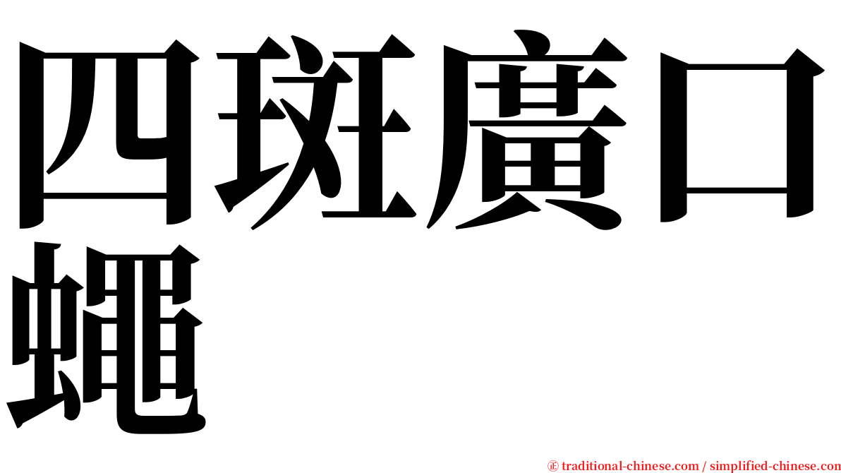 四斑廣口蠅 serif font