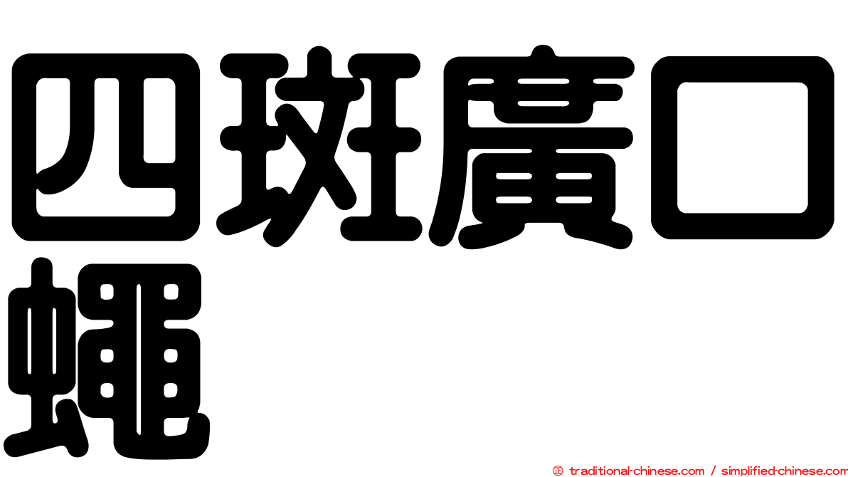 四斑廣口蠅