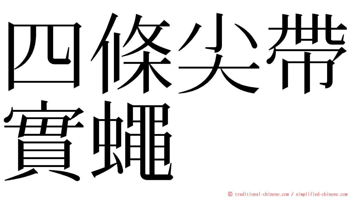 四條尖帶實蠅 ming font