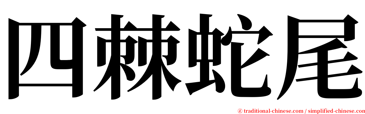 四棘蛇尾 serif font