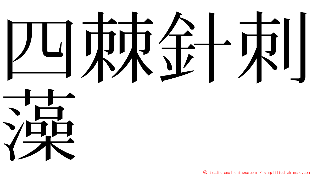 四棘針刺藻 ming font