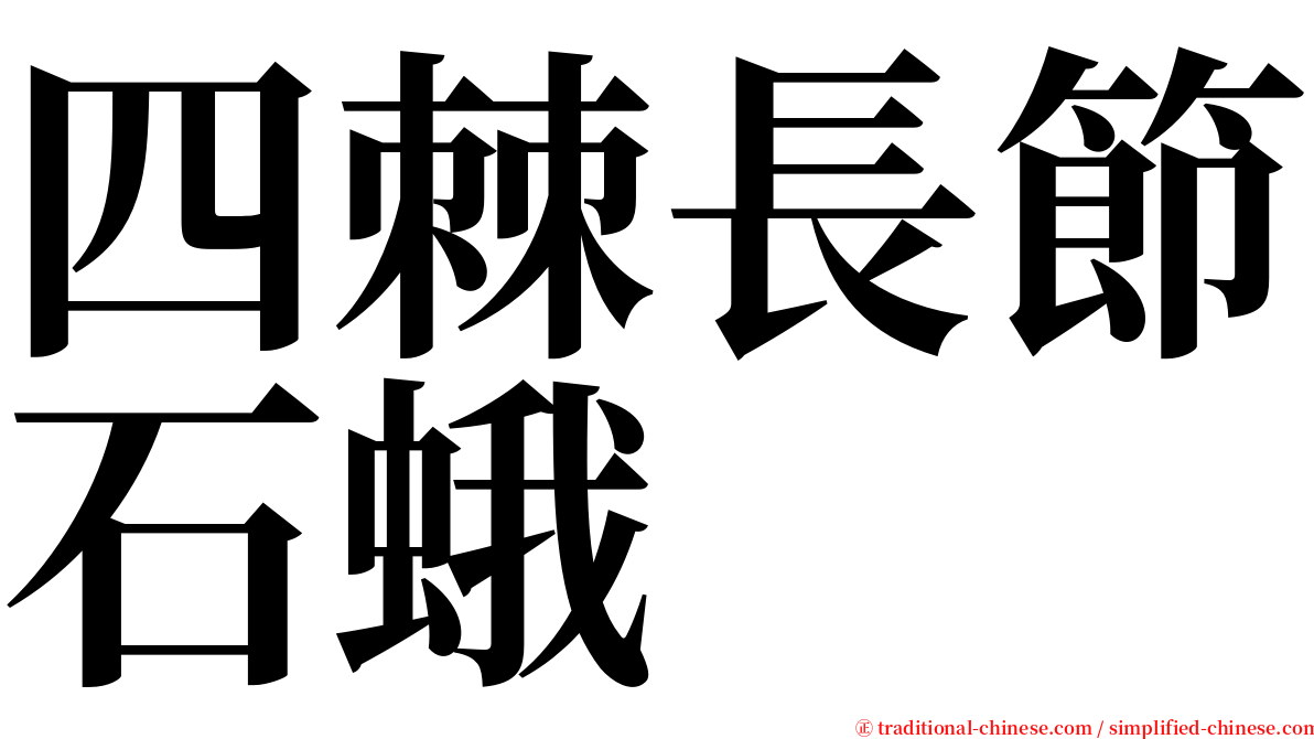 四棘長節石蛾 serif font