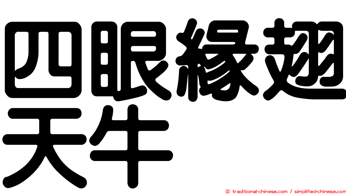 四眼緣翅天牛