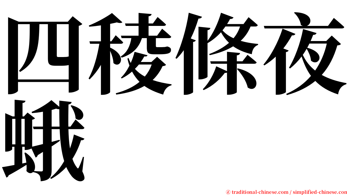 四稜條夜蛾 serif font