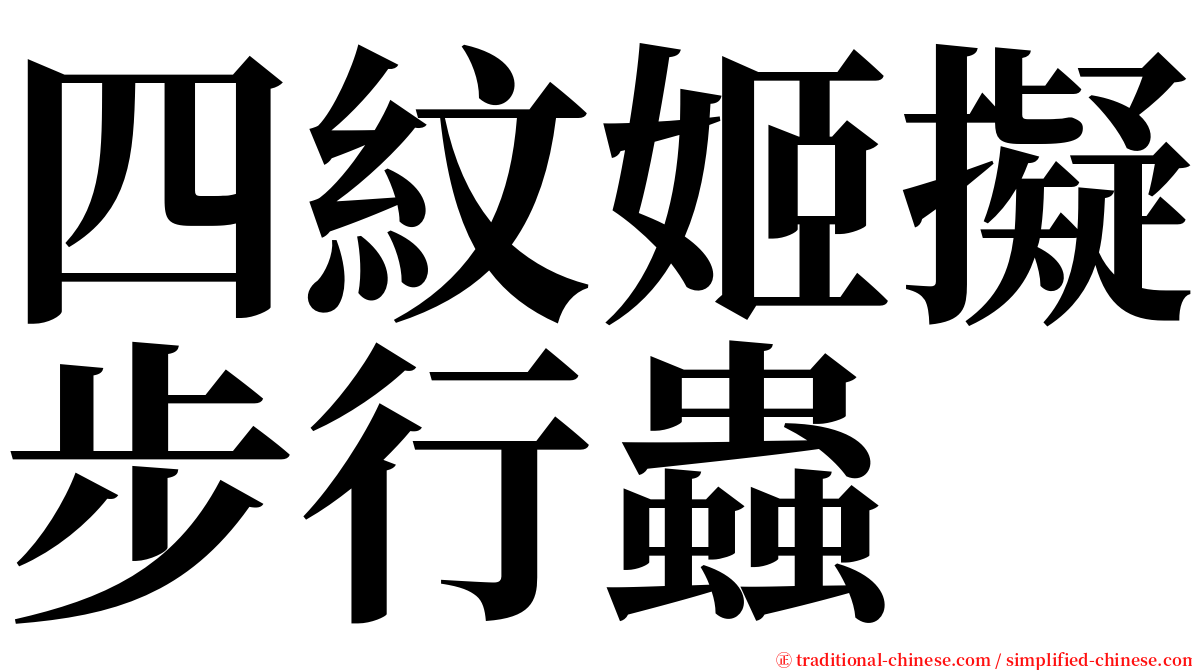 四紋姬擬步行蟲 serif font