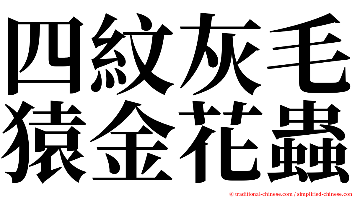 四紋灰毛猿金花蟲 serif font