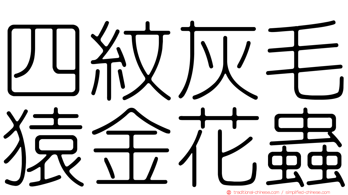 四紋灰毛猿金花蟲