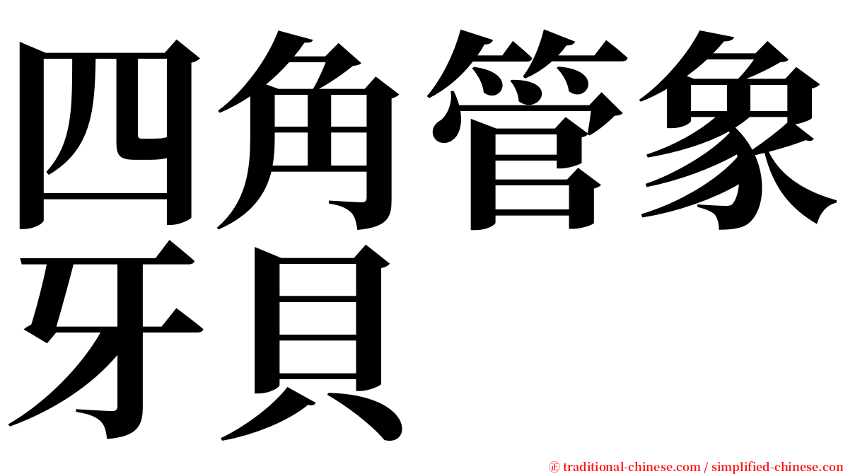 四角管象牙貝 serif font