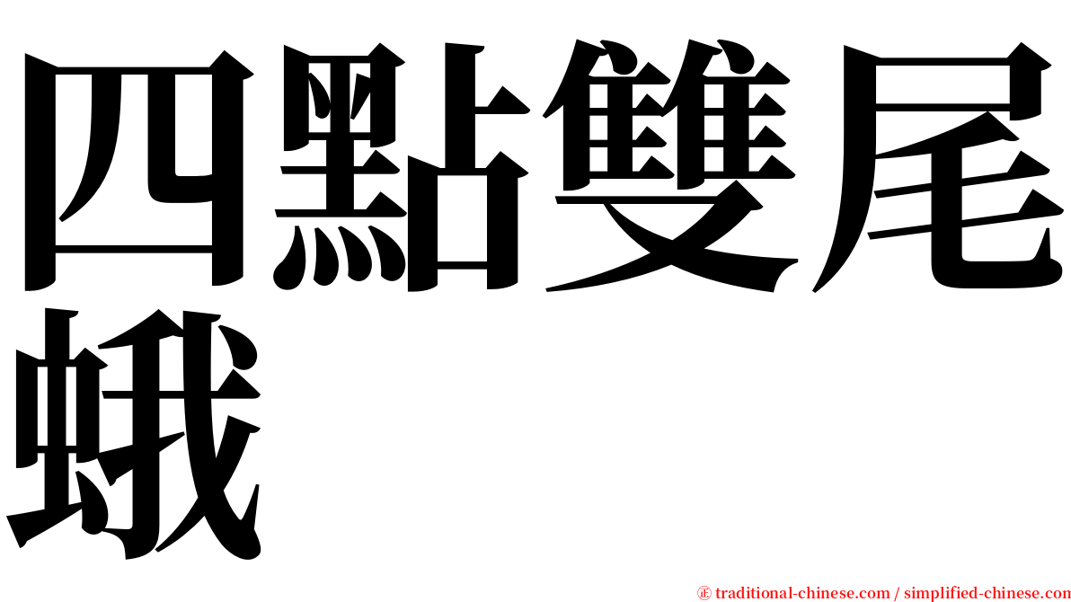 四點雙尾蛾 serif font