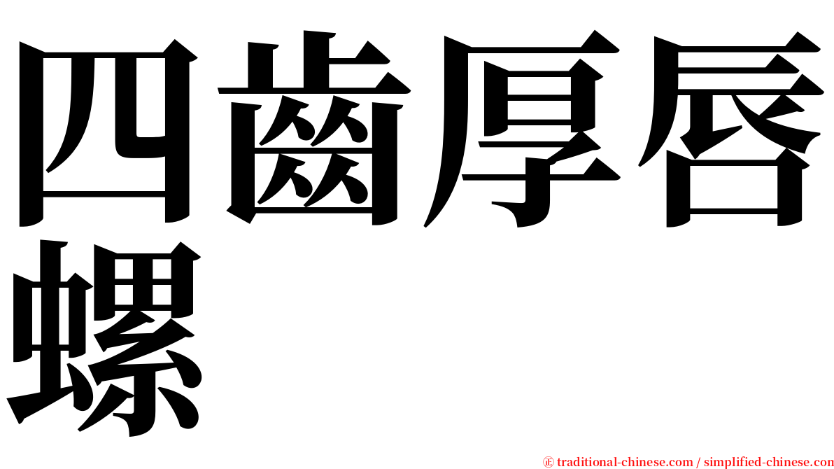 四齒厚唇螺 serif font