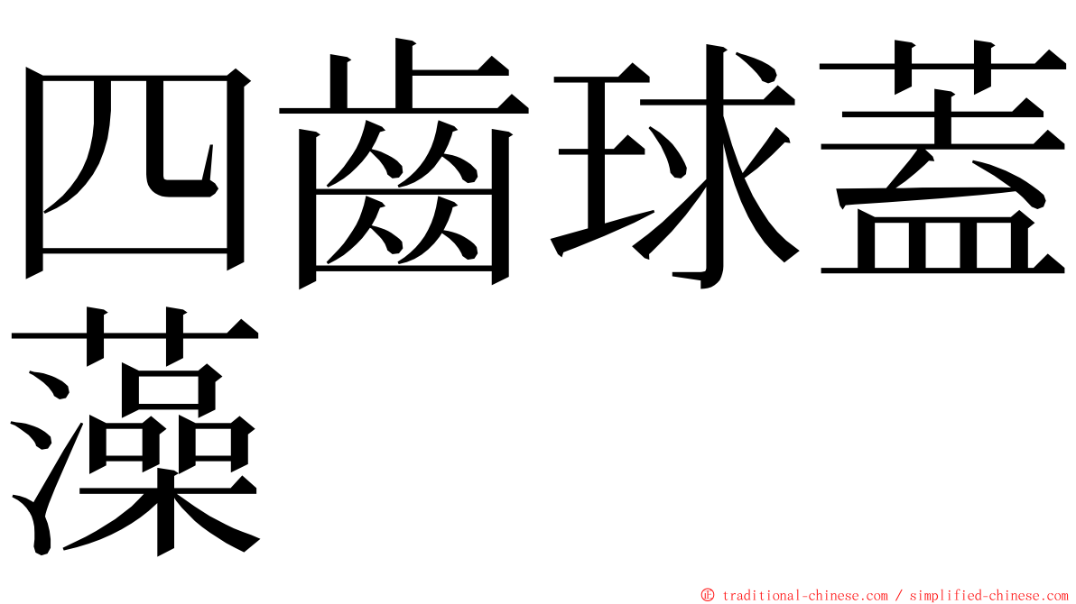 四齒球蓋藻 ming font