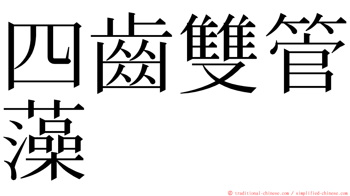 四齒雙管藻 ming font