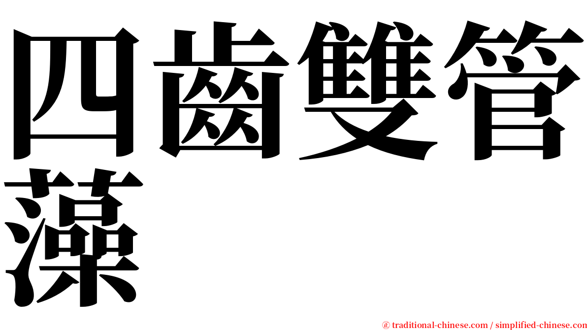 四齒雙管藻 serif font