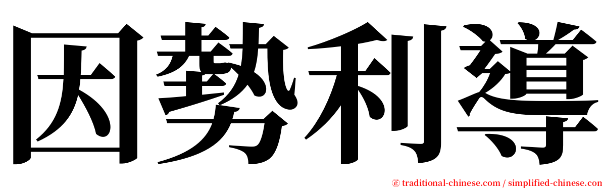 因勢利導 serif font