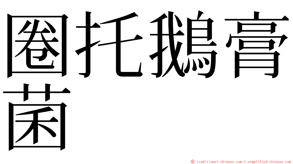 圈托鵝膏菌 ming font