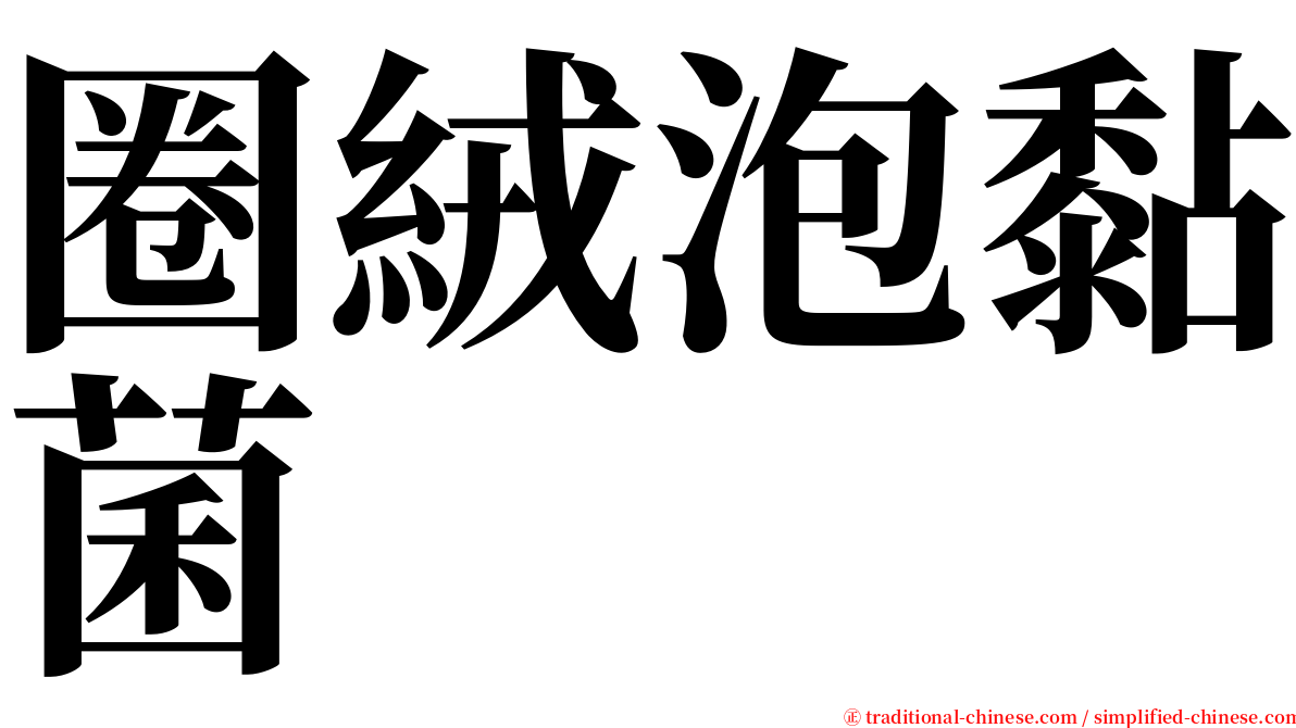 圈絨泡黏菌 serif font