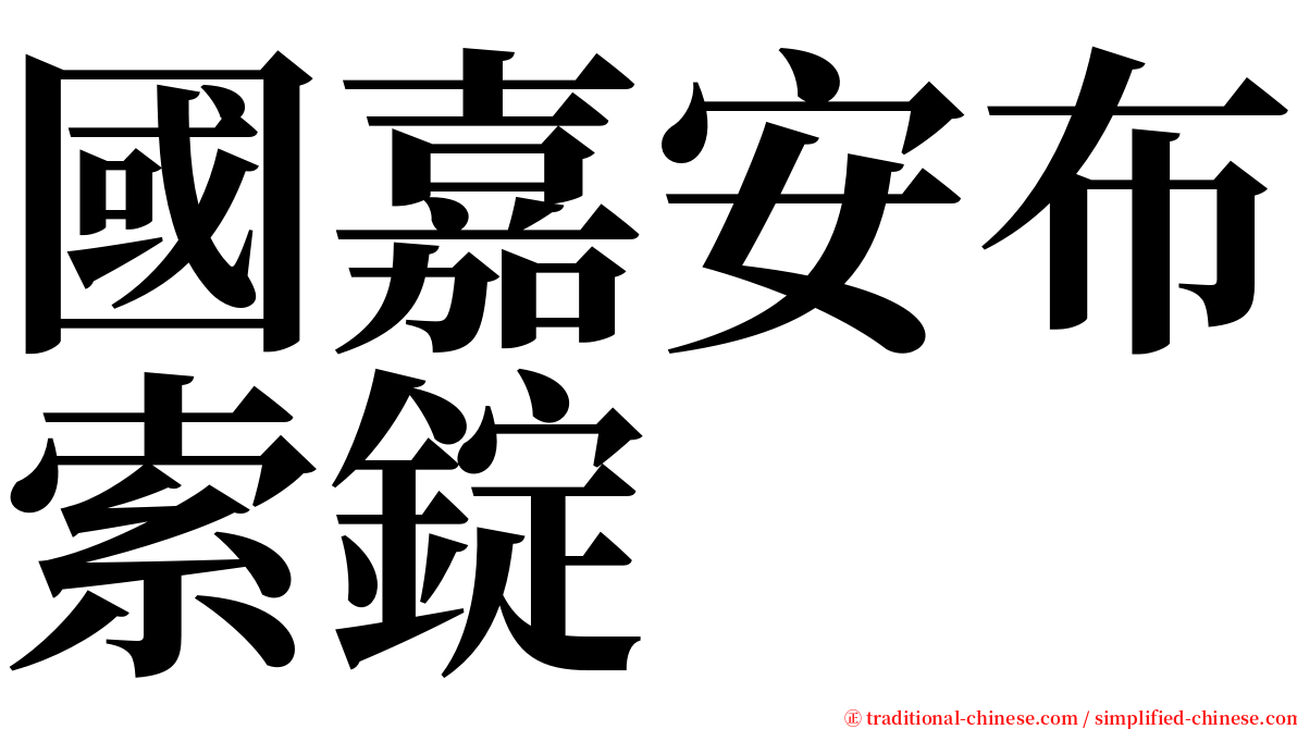 國嘉安布索錠 serif font