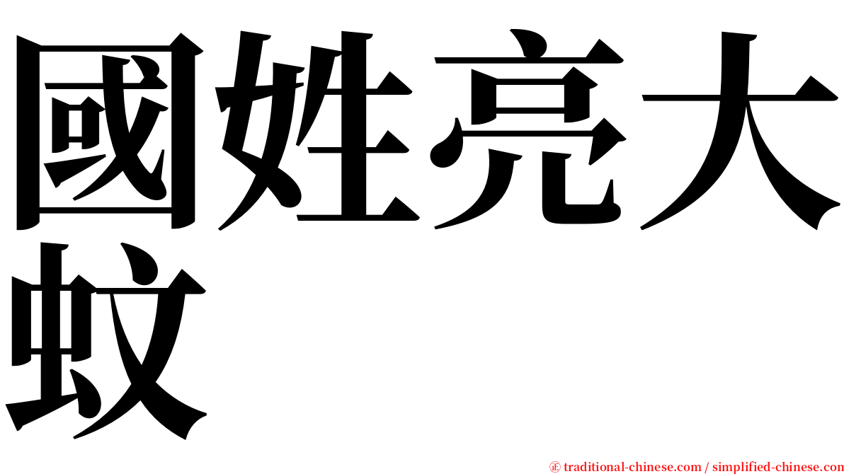 國姓亮大蚊 serif font