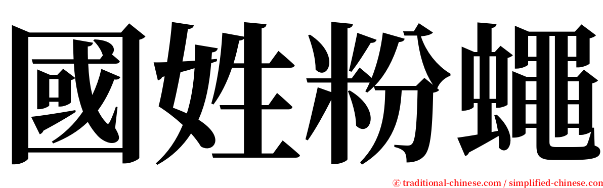 國姓粉蠅 serif font