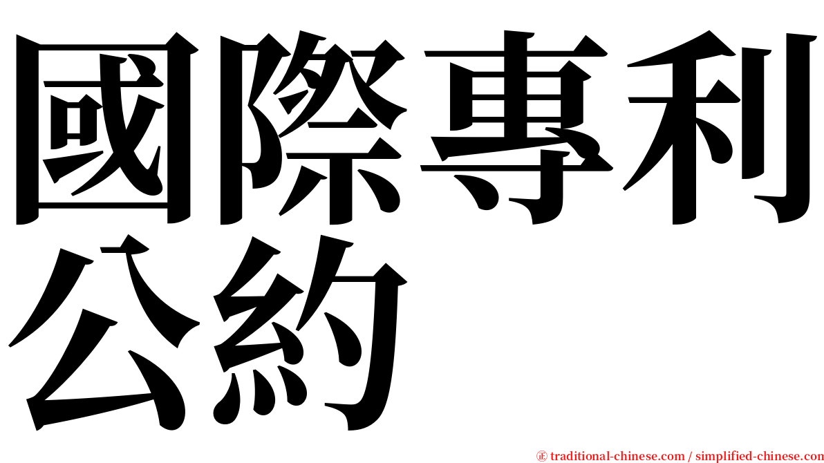 國際專利公約 serif font