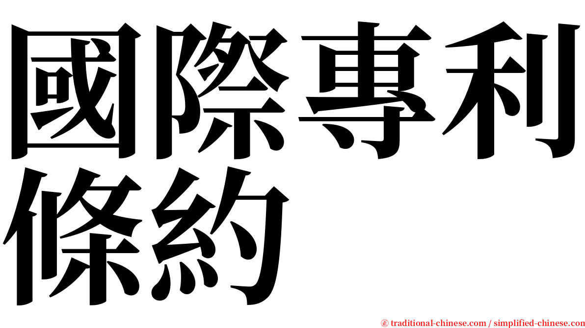 國際專利條約 serif font