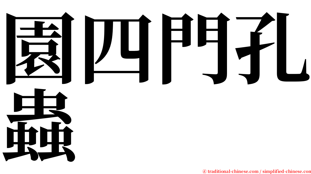 園四門孔蟲 serif font