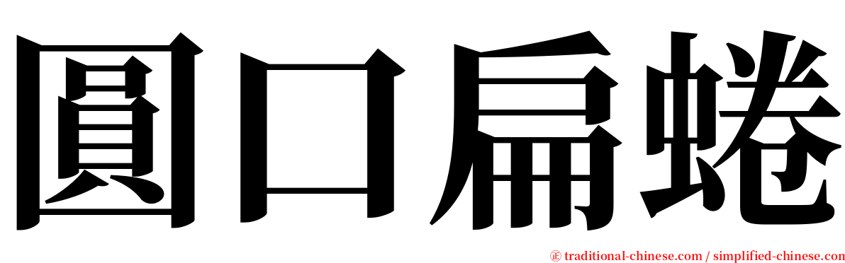 圓口扁蜷 serif font