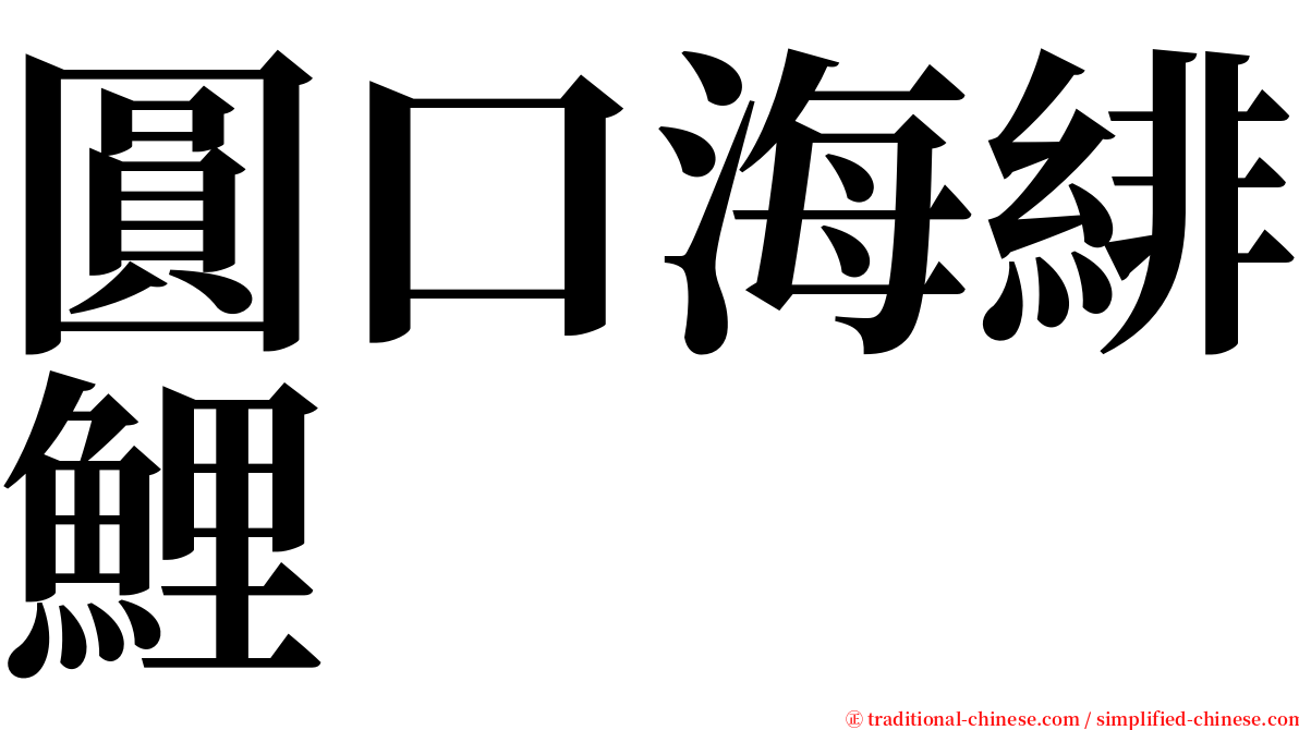 圓口海緋鯉 serif font