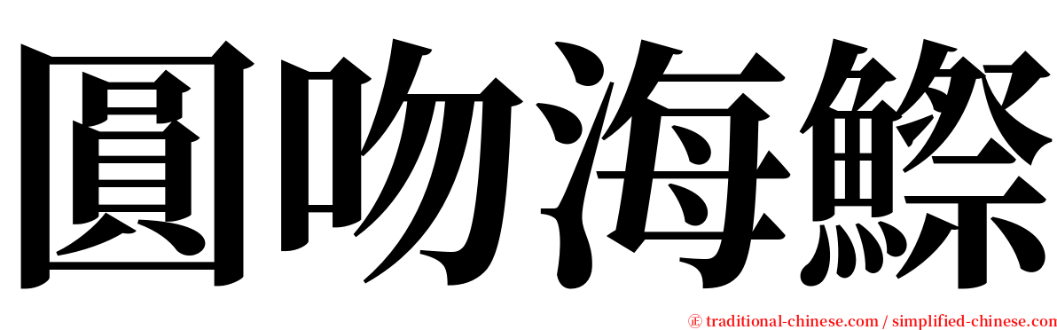 圓吻海鰶 serif font