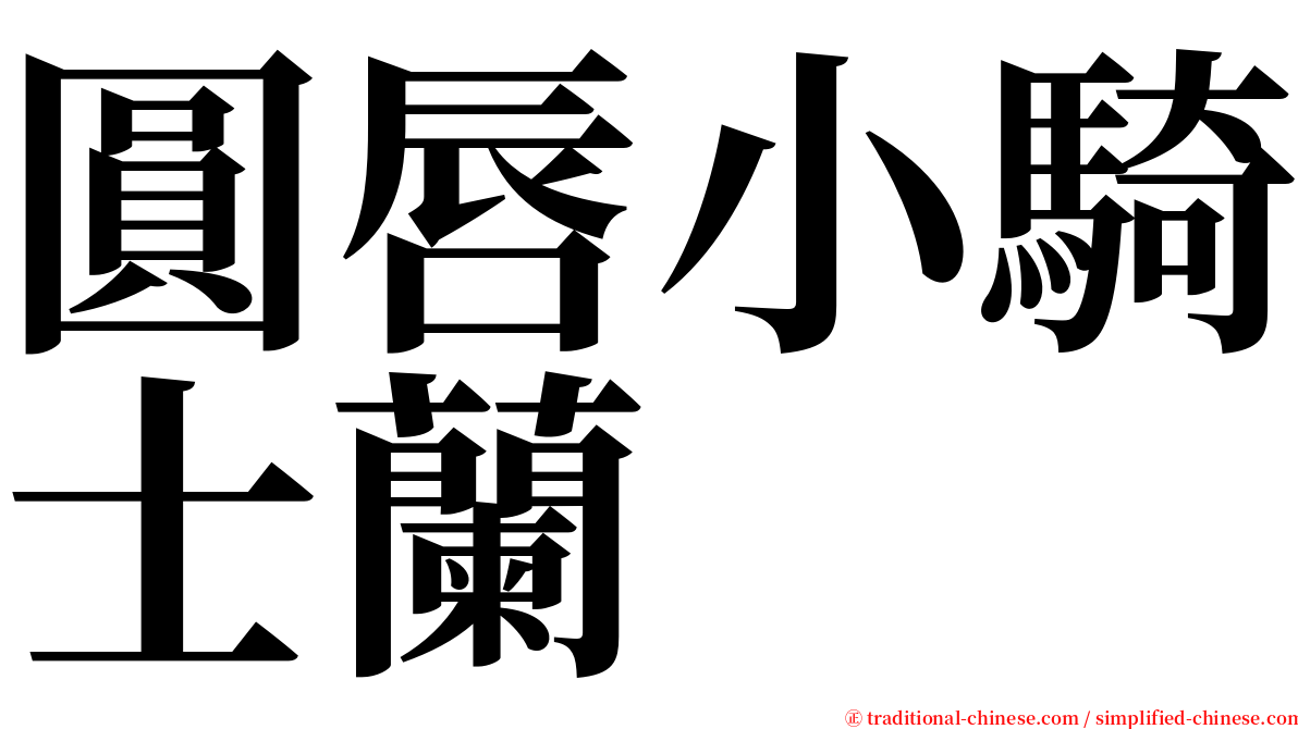 圓唇小騎士蘭 serif font