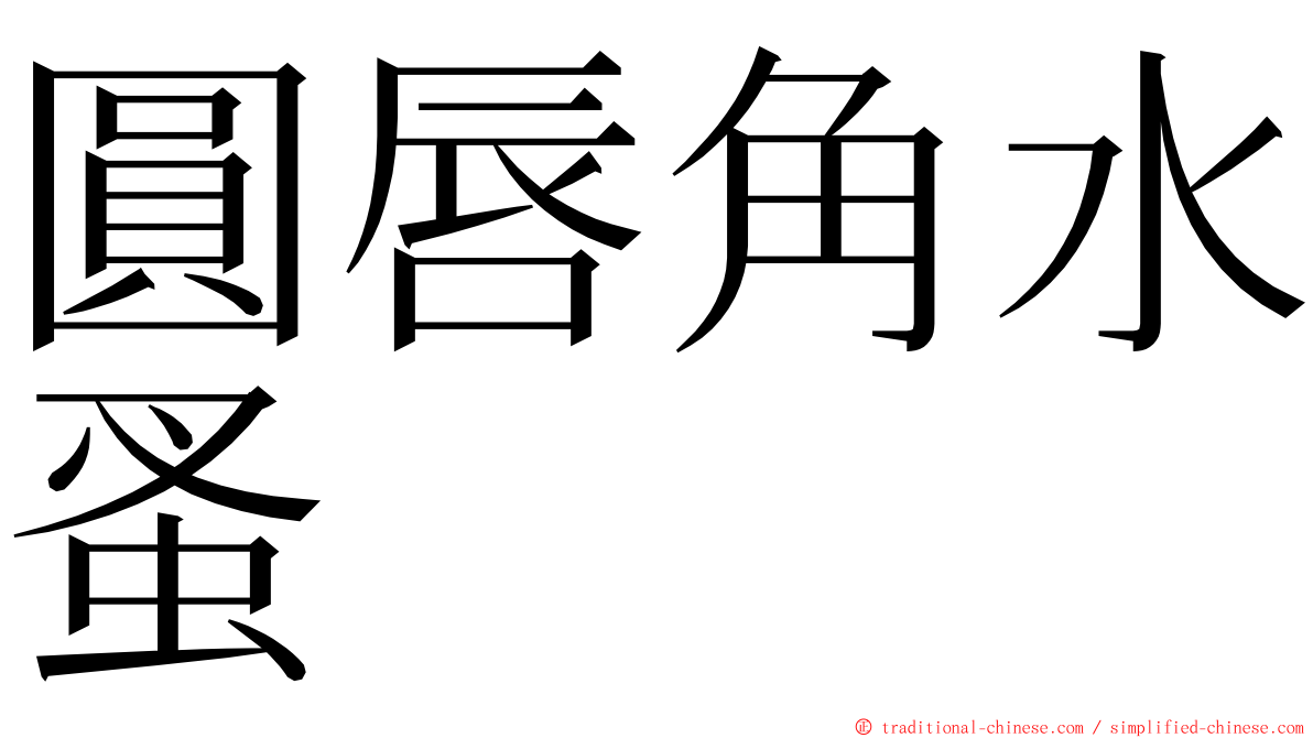 圓唇角水蚤 ming font