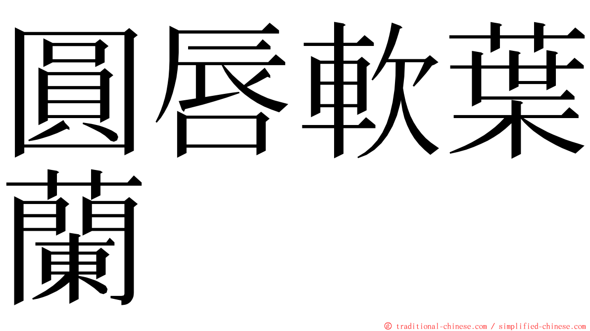 圓唇軟葉蘭 ming font