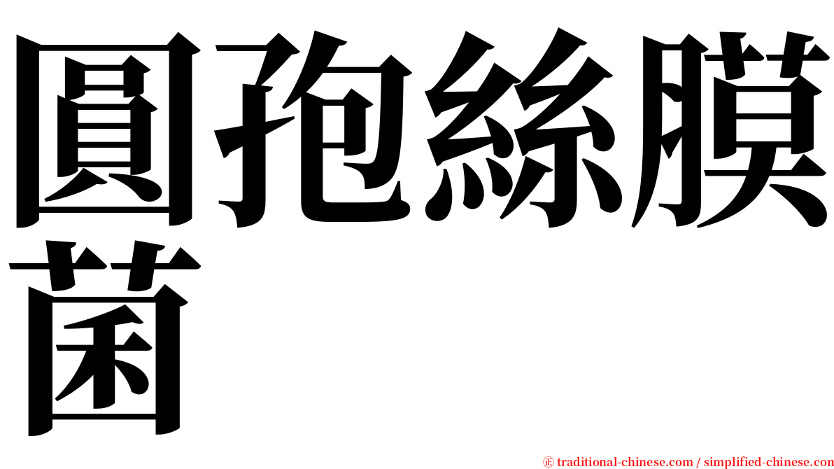 圓孢絲膜菌 serif font