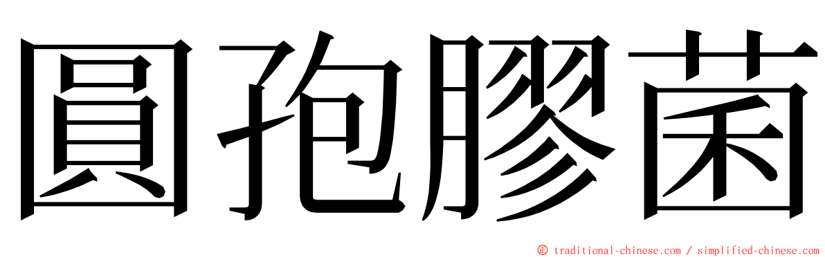 圓孢膠菌 ming font