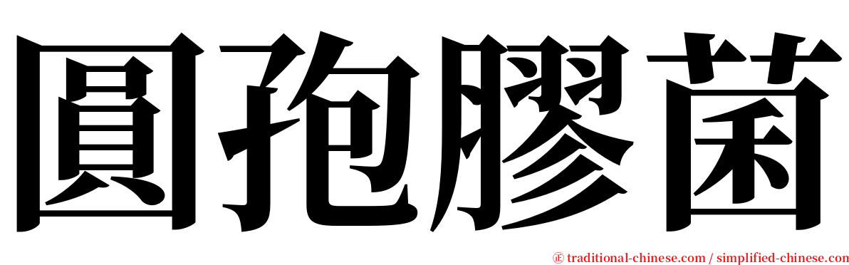 圓孢膠菌 serif font