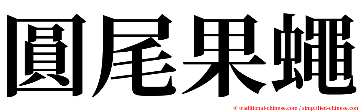 圓尾果蠅 serif font