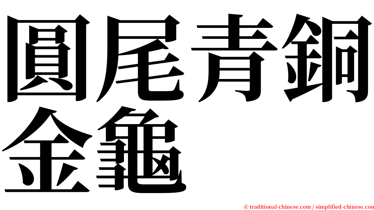 圓尾青銅金龜 serif font