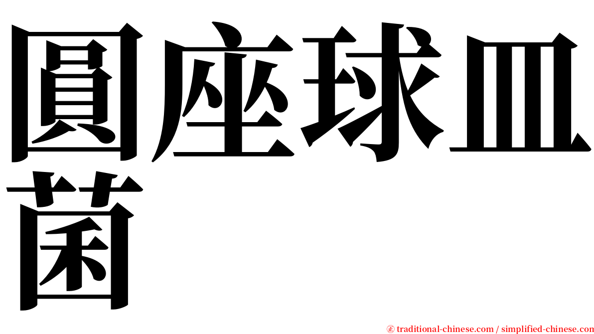 圓座球皿菌 serif font