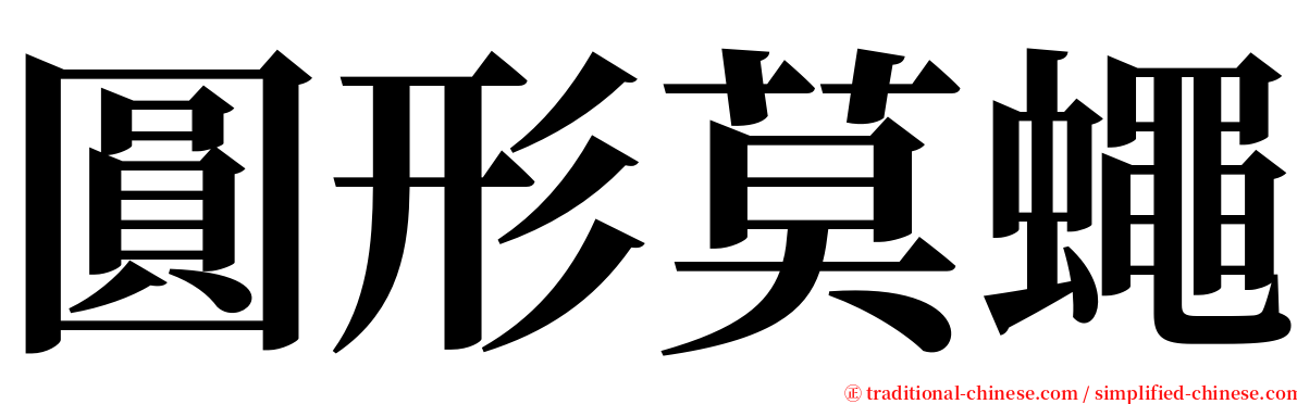 圓形莫蠅 serif font