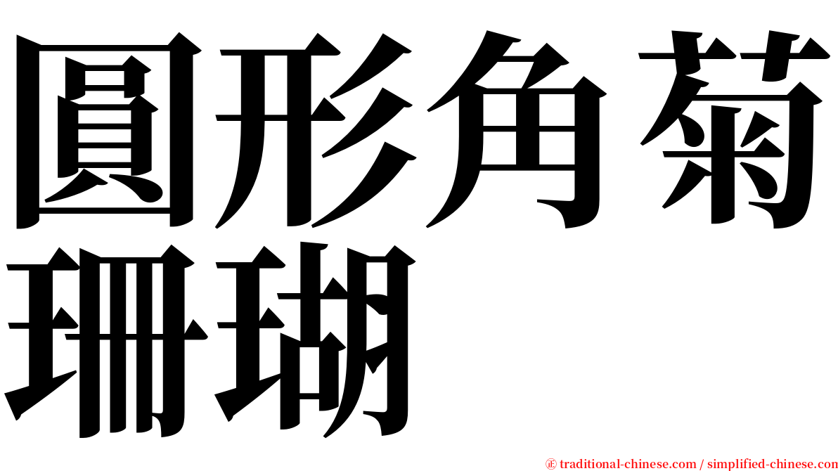 圓形角菊珊瑚 serif font