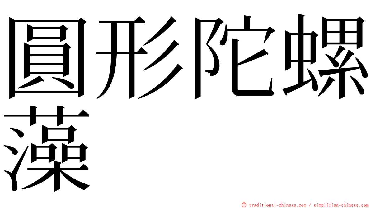 圓形陀螺藻 ming font