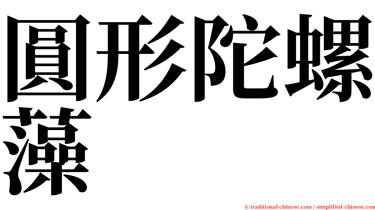 圓形陀螺藻 serif font