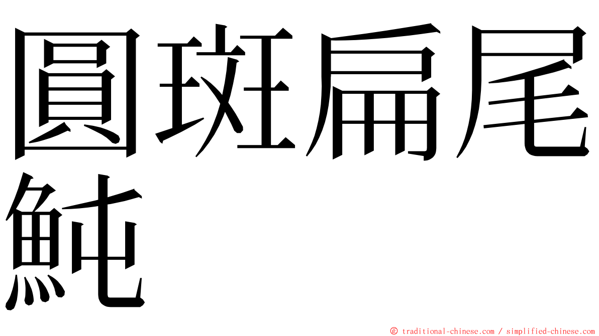 圓斑扁尾魨 ming font